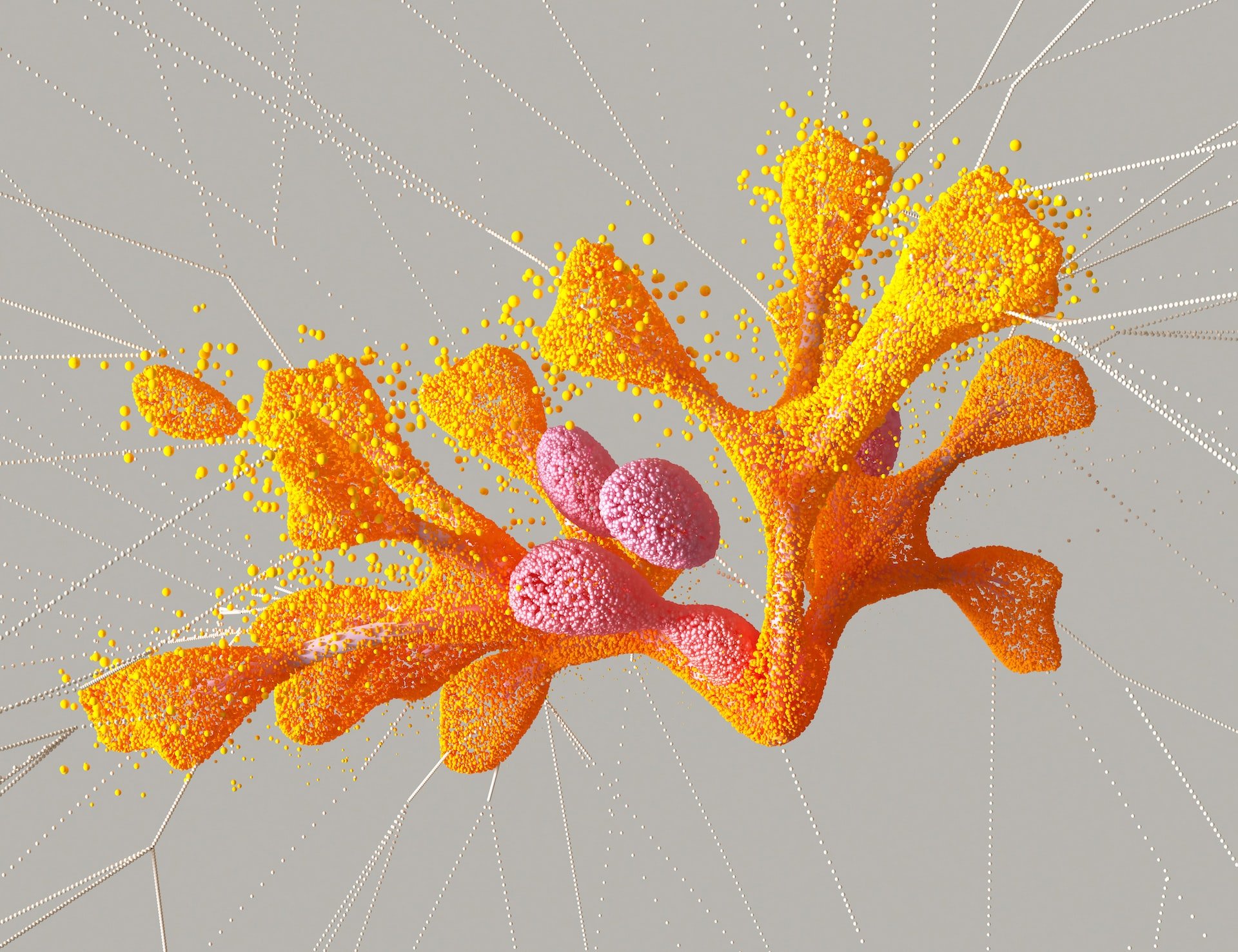 Themed Issue on Translational Synthetic Biology